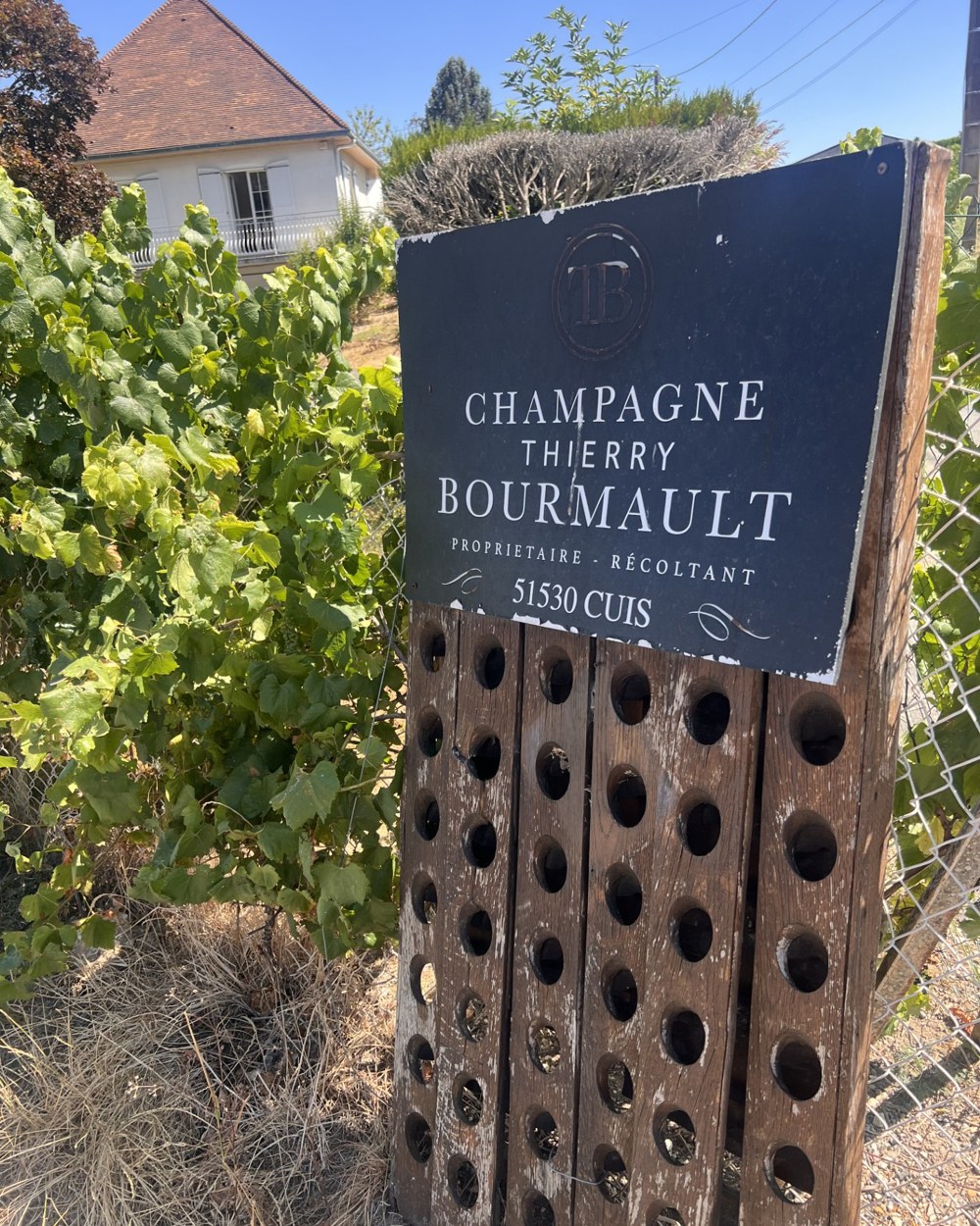 Skilt ved Champagne Thierry Bourmault i Cuis med vinstokke og gammel pupitre